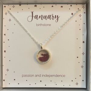 january birthstone necklace with gift box NWT NEW